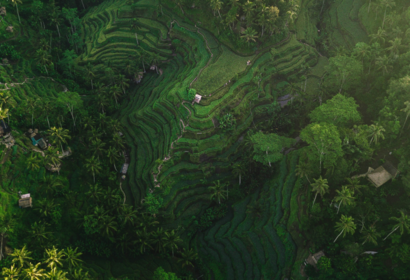 Bali, une immersion douce entre rizières, temples et océan, voyage Asie et Océanie